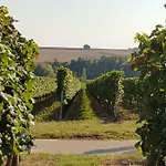 Weingut & Gaestehaus Nagel ホームステイ