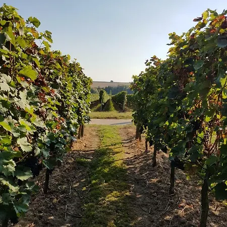 Weingut & Gaestehaus Nagel Kapellen-Drusweiler