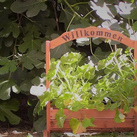 Weingut & Gaestehaus Nagel منزل للإقامة *