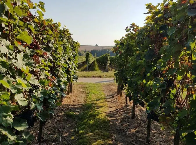 Weingut & Gaestehaus Nagel Kapellen-Drusweiler