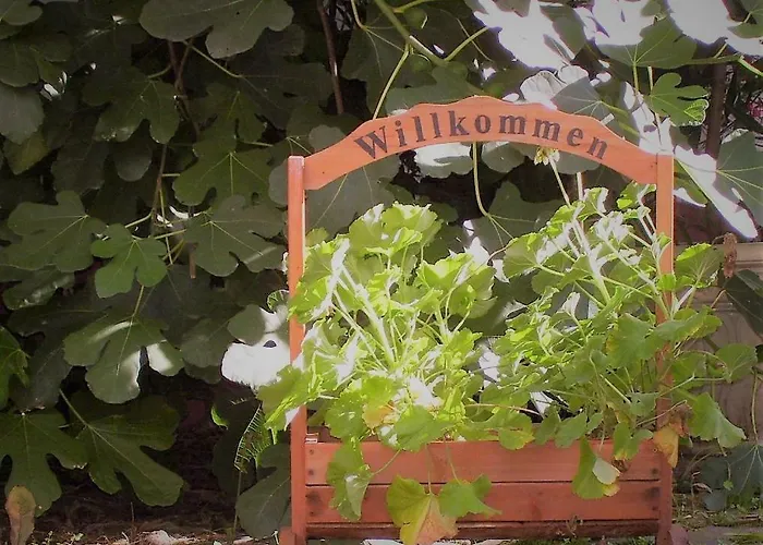 Weingut & Gaestehaus Nagel Ubytování v soukromí *